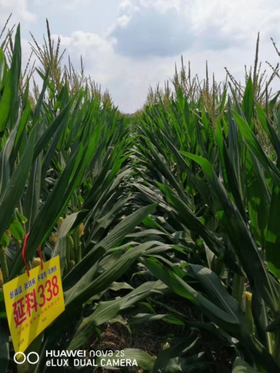 微信圖片_201912251633077(1)(1).jpg 微信圖片_201912251633077(1)(1).jpg