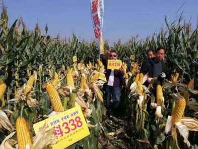 微信圖片_201912251055534(1)(2).jpg 微信圖片_201912251055534(1)(2).jpg