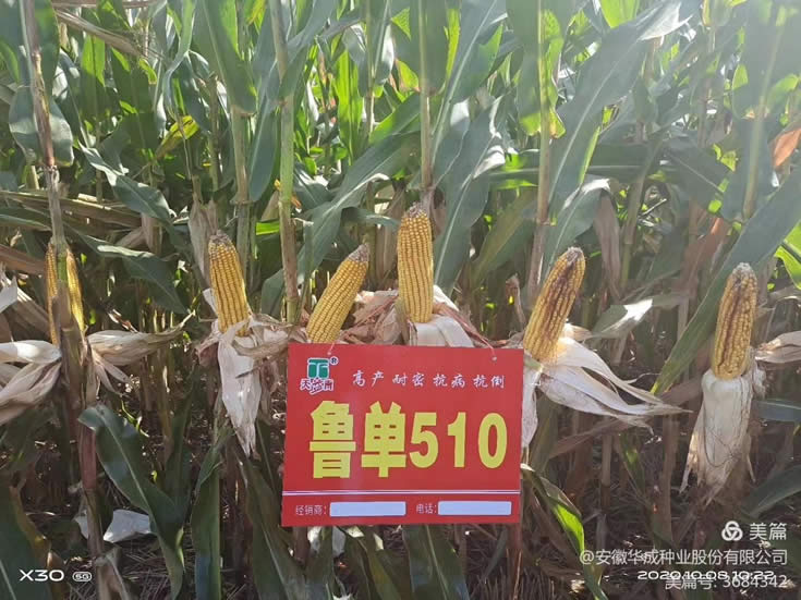 微信圖片_20201014102220.jpg 微信圖片_20201014102220.jpg