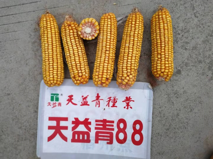 微信圖片_20201014104002.jpg 微信圖片_20201014104002.jpg