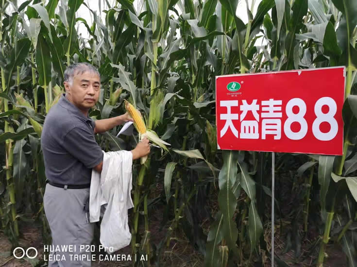 微信圖片_20201014103939.jpg 微信圖片_20201014103939.jpg