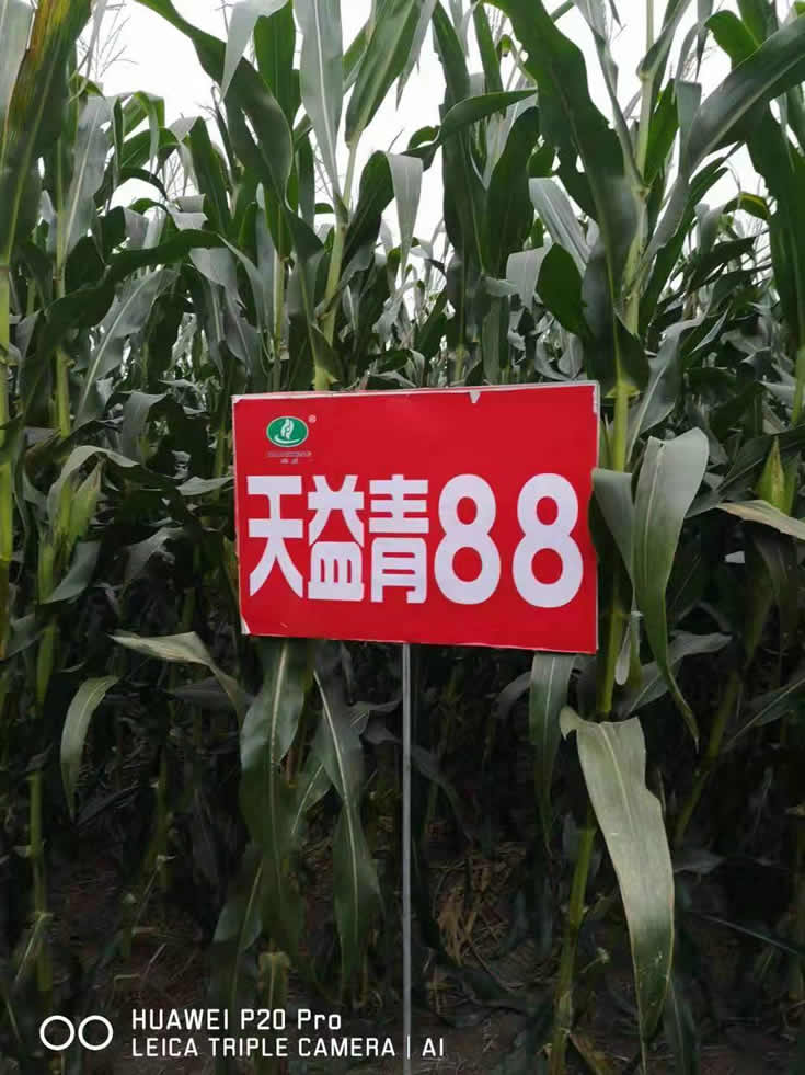 微信圖片_20201014103957.jpg 微信圖片_20201014103957.jpg