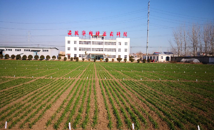 8cabdd9af8b5a7691697e8d8a8fd296.png 8cabdd9af8b5a7691697e8d8a8fd296.png